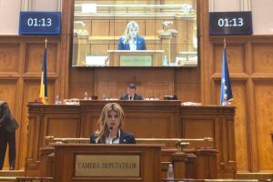 Maricela Cobuz: Pentru prima dată, Ministerul Sănătăţii acordă o importanţă maximă ...