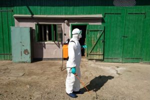 Despăgubiri de 26.510 lei, plătite pentru şase exploataţii din Teleorman afectate de pesta porcină