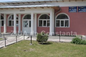 Daf Trans 2000 SRL va asfalta drumurile din Mosneni, judetul Constanta (document)