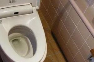 Clujul cumpără WC -uri publice cu 50.000 de euro bucata