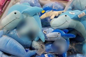 Jucării obscene puse la vânzare într-un magazin pentru copii