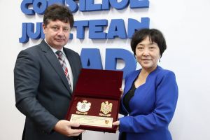 Delegaţia Ambasadei Republicii Populare Chineze a vizitat Consiliul Judeţean Arad
