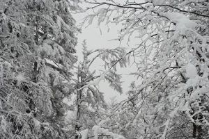FOTO: La munte ninge ca-n poveşti! Frig şi ninsori până duminică