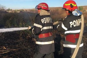45 de hectare de terenuri virane din patru sate, cuprinse de flăcări (FOTO)
