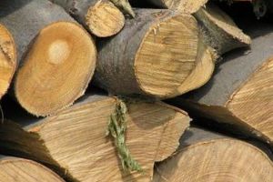 Material lemnos confiscat la Deda