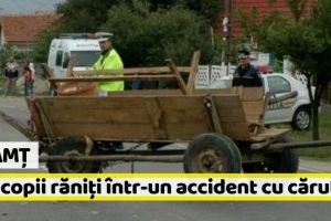 Neamţ: Doi copii, la spital după un accident cu căruţa