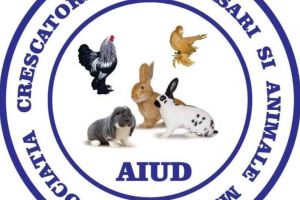 Expoziţie de PĂSĂRI şi ANIMALE mici la Unirea. Programul evenimentului