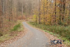 COAJA sau când traseul îţi seamănă cu electrocardiograma (Galerie foto)