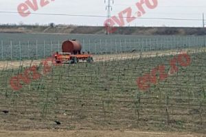 Reţeta de investiţii de coşmar a viitorului patron de la Sidex. La Olteniţa a răsărit o plantaţie de lavandă în locul fabricii metalurgice promise. Ce surprize a pregătit familia Gupta pentru Galaţi?