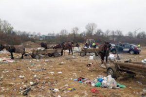 Căruţe confiscate de Poliţia Locală