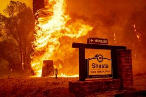 Incendiu devastator California. Numarul deceselor a ajuns la 63. Peste 600 de persoane, date disparute 