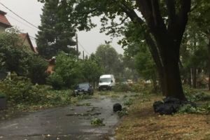 Cod galben de vânt puternic în mai multe zone din ţară