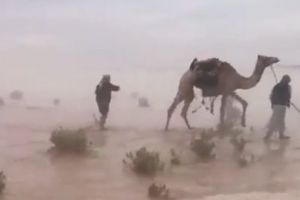 Imagini incredibile din Emiratele Arabe Unite! Deşertul acoperit de ape, în urma inundaţiilor