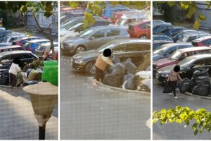 Timisorenii fac pe Big Brother pentru Politia Locala in lupta cu rampele clandestine de gunoaie