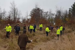 100 de puieţi de paltin de munte, plantaţi pentru aniversarea Centenarului Marii Uniri