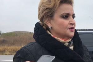 Ce spune ministrul Gratiela Gavrilescu despre incendiul din Mimiu