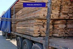 O firmă din Bihor a rămas fără 30 de metri cubi de lemne. Amendă de 5.000 de lei pentru proprietari