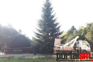 FOTO. Pregătirile de sărbători sunt în toi la Satu Mare. A fost montat bradul în centrul oraşului