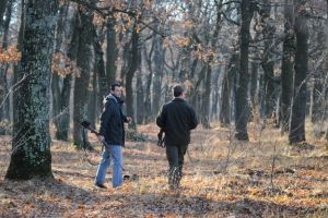 Sancţiuni de 12.000 de lei pe numele a doi localnici din comuna Atid, pentru delicte silvice