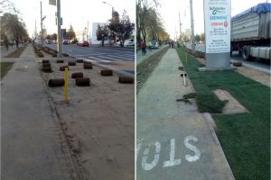 FOTO. Premieră în Satu Mare. Primăria montează rulouri de gazon