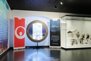 Veolia România susţine lupta împotriva plasticului printr-o dioramă multimedia expusă la Muzeul Naţional de Istorie Naturală ,,Grigore Antipa”