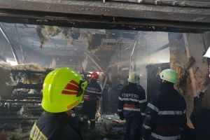 FOTO&VIDEO. Incendiu la o fabrică de mobilă din judeţul Satu Mare