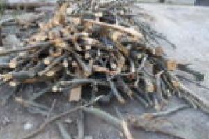 Bătrânii de la azilul din Anina, lăsaţi fără lemne de foc! Primarul Românu acuză Garda Forestieră Timişoara!