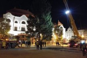 Baia Mare: Bradul de Craciun a ajuns in Centrul Vechi (FOTO)