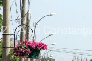 Primaria Constanta asteapta oferte de pret pentru reabilitarea jardinierelor amplasate in municipiu 