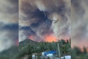 California a devenit „iadul pe pământ”. Mărturia unui român mutat în SUA