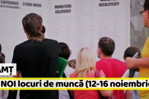 AJOFM Neamţ: 104 NOI locuri de muncă, comunicate în săptămâna 12-16 noiembrie