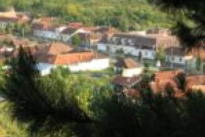 Comuna Marga este azi capitala doinelor bănăţene!