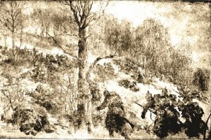 Unirea şi Primul Război Mondial, într-o expoziţie la Primăria Sibiu