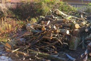 Bătrânii de la Căminul pentru Persoane Vârstnice Anina îngheaţă de frig în camere