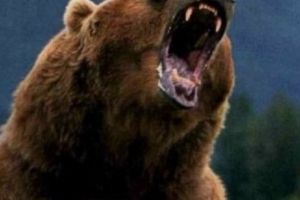 SCENE DE COȘMAR! VÂNĂTOR român, la un pas să fie DECAPITAT de un URS!