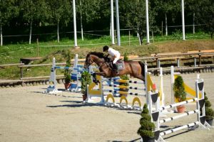 ÎN DIRECT Competiţie de înaltă clasă la Baza Hipică din Prejmer