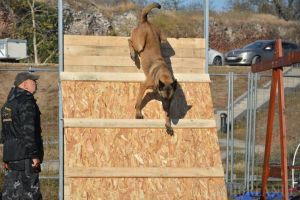 Cel mai mare concurs de mondioring din România, în Cetatea Oradea (FOTO / VIDEO)