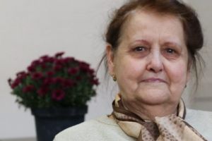 Didactica. Sistemul limbii