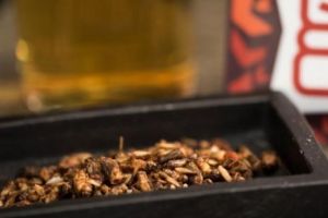 Greieri uscaţi la pungă. Mâncarea viitorului este deja în supermarketuri. Cât costă o gustare cu insecte