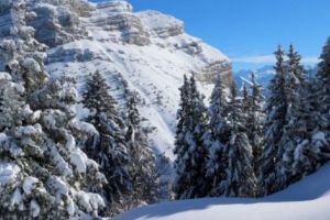 INTERZIS în munţii Argeşului!