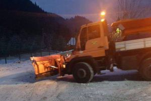 Au revenit ninsorile