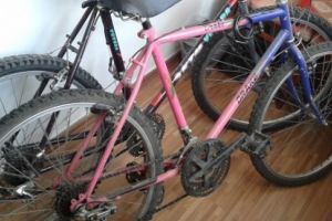 Hoţ de biciclete, prins în flagrant de poliţişti