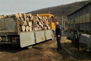 Scutul Pădurii – Maşină cu lemne furate depistată la Gura Râului