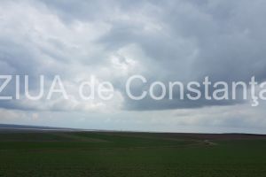 Cod galben de vant puternic in judetul Constanta!