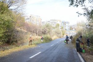 Actiune de igienizare in zona Valea Portului din Constanta. Ce amenzi riscati daca aruncati gunoiul pe strada (galerie foto)