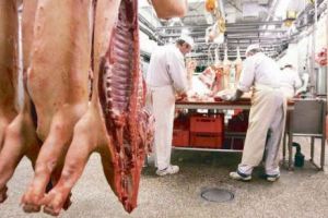 INEDIT: Primul abator din România care se raportează la PREŢURILE DIN GERMANIA