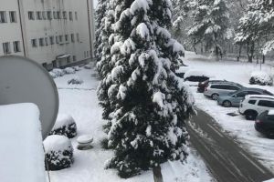 Peisaj de poveste, la  Spitalul de Pneumoftiziologie „Tudor Vladimirescu”