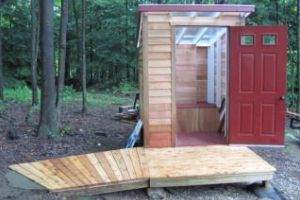 Între timp, conform Eurostat România conduce lejer topul ţărilor cu cele mai multe WC-uri în fundul curţii