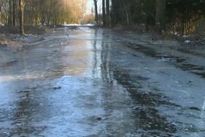 Cod galben, în Gorj