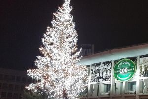 Instalaţie cu 71.000 de beculeţe, pentru bradul de Crăciun din centrul Sucevei